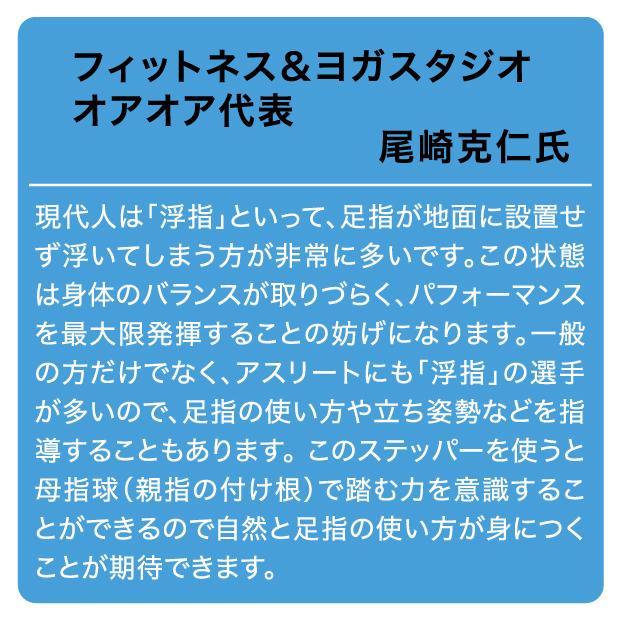 足踏み ステッパー ステップ台 座り ながら エクササイズ コンパクト 軽量 有酸素運動 室内 健康器具 座ったまま 踏み台 昇降運動 高齢者 リハビリ トレーニング |  | 13