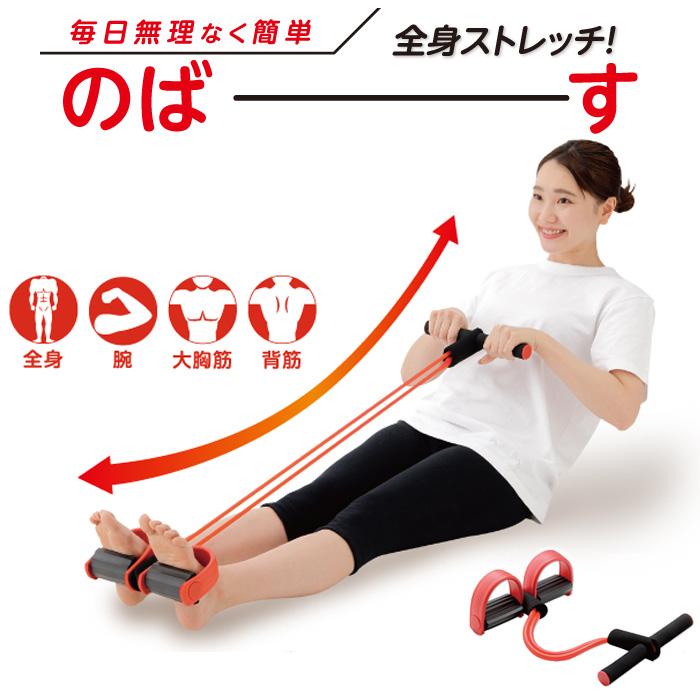 全身ストレッチ 座ってできる シェイプエキスパンダー ストレッチ