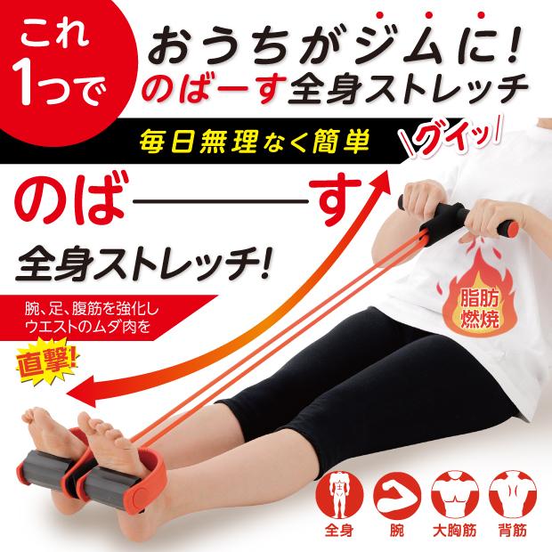 全身ストレッチ 座ってできる シェイプエキスパンダー ストレッチ