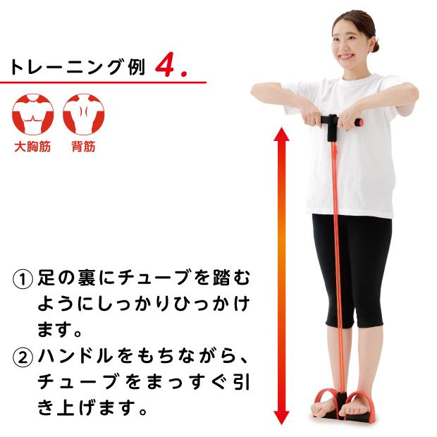 全身ストレッチ 座ってできる シェイプエキスパンダー ストレッチ