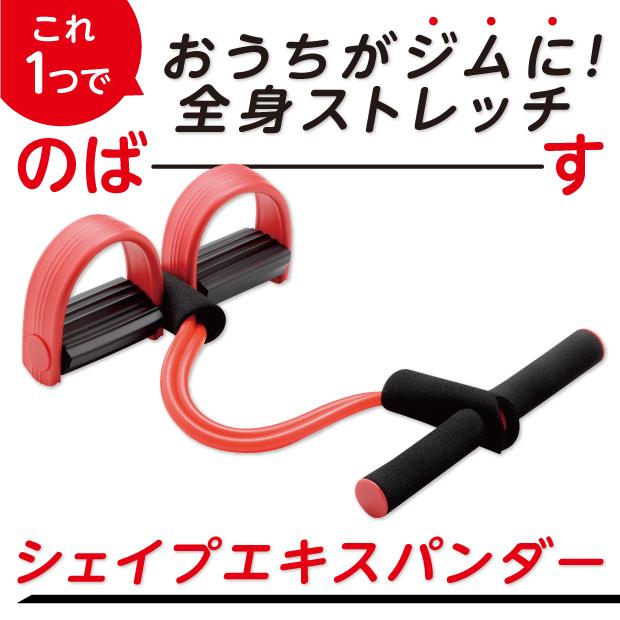 全身ストレッチ 座ってできる シェイプエキスパンダー ストレッチ
