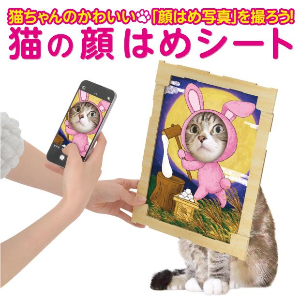 猫の顔はめシート フォトフレーム ダンボール 段ボール ネコ 素材 写真 