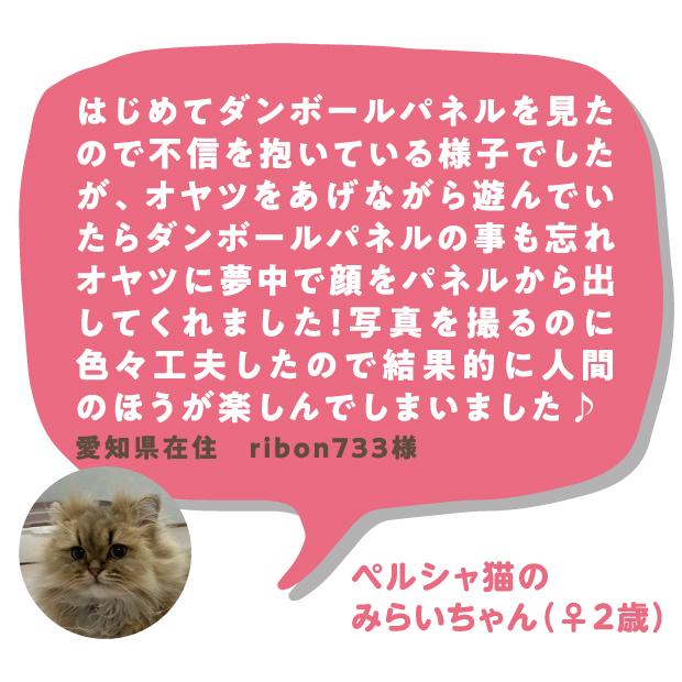 猫の顔はめシート フォトフレーム ダンボール 段ボール ネコ 素材 写真
