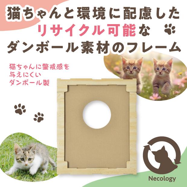猫の顔はめシート フォトフレーム ダンボール 段ボール ネコ 素材 写真 