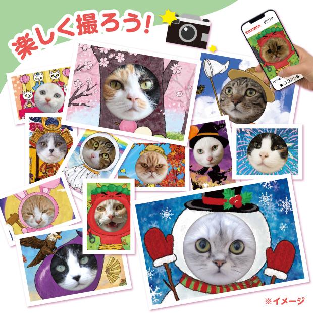 猫の顔はめシート フォトフレーム ダンボール 段ボール ネコ 素材 写真 
