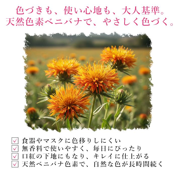 唇用美容液 パピリオ トリートメント リップエッセンスEX ほんのり色づく リップ ケア 美容液 リップクリーム 唇 エッセンス 乾燥 潤い Papilio パピリオ化粧品 | Papillio | 05