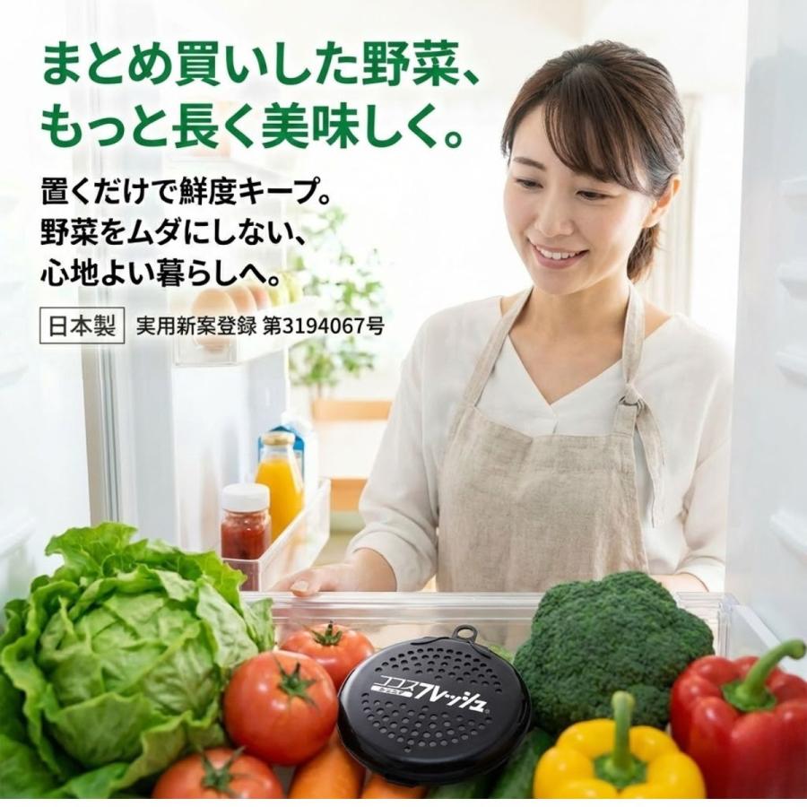 鮮度保持剤 ココスフレッシュ ジュニア 野菜 果物 鮮度 長持ち グッズ