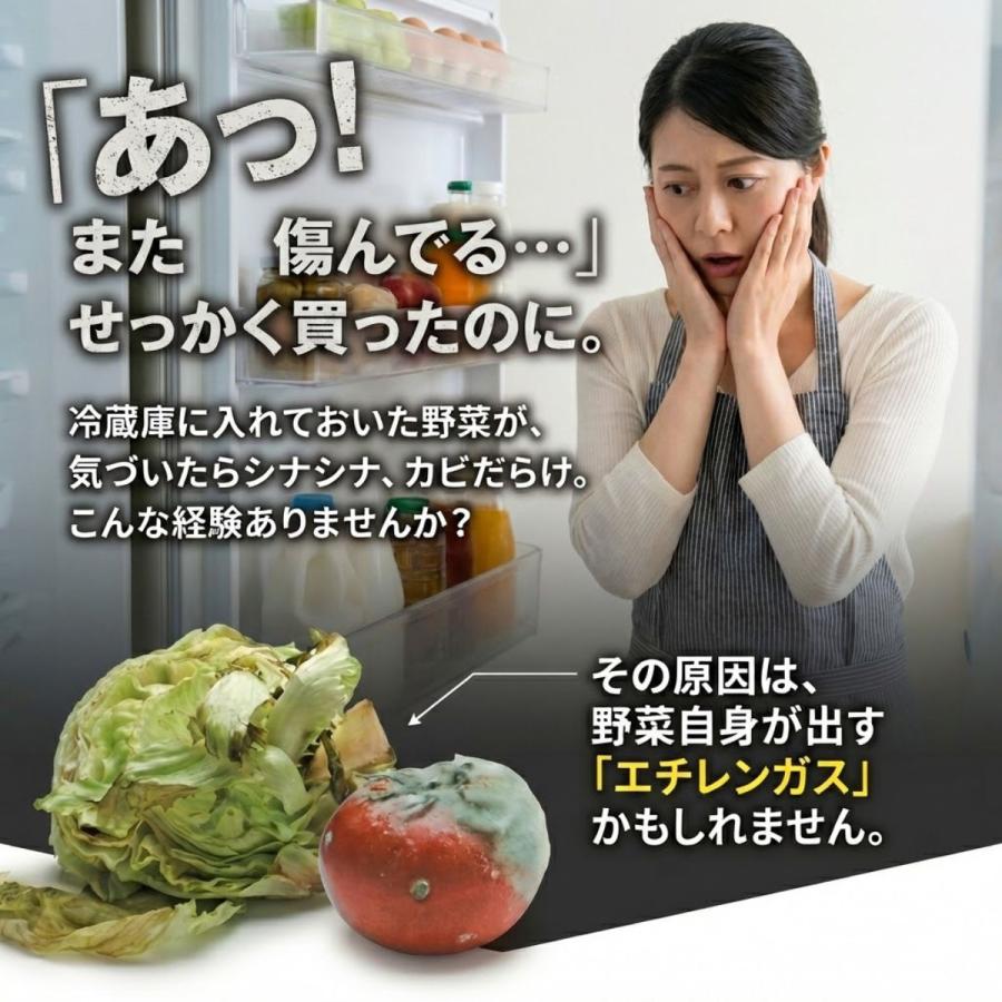 鮮度保持剤 ココスフレッシュ ジュニア 野菜 果物 鮮度 長持ち グッズ