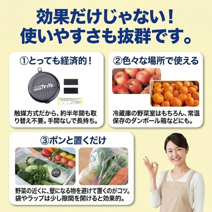 鮮度保持剤 ココスフレッシュ ジュニア 野菜 果物 鮮度 長持ち グッズ