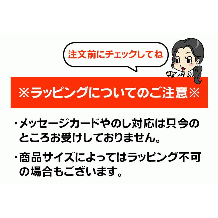 着物収納 炭入り消臭 着物一式 収納ケース 着物入れ きもの ケース 浴衣 収納 保管 着物を入れる 収納ケース 衣装ケース 不織布 消臭 着物 収納 ボックス | アイメディア | 08
