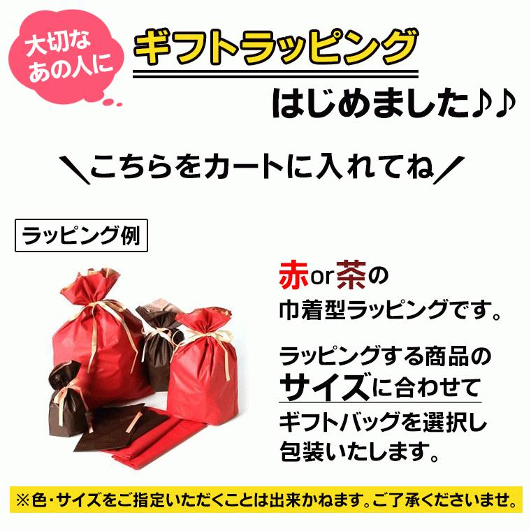 洋服カバー 不織布 パッと見える炭入り消臭衣類カバー ショート クローゼットの洋服の収納 衣類収納カバー 衣装カバー 洋服収納カバー 衣替え | アイメディア | 08