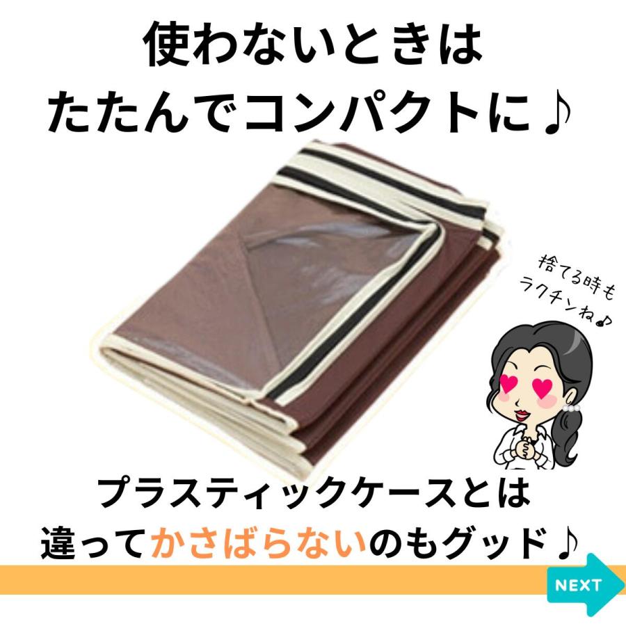 ＼在庫限り／洋服収納ケース 炭入り消臭 衣類 収納 ケース 小 ボックス 折りたたみ 積み重ね 不織布 仕切り 衣装 袋 布 クローゼット 押入れ 衣替え | アイメディア | 06