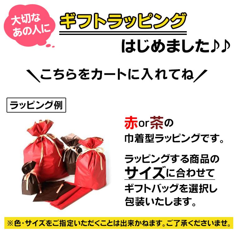 座布団収納 炭入り消臭 座布団 収納ケース 大判 座布団 収納 袋 保管 持ち手付き 不織布 収納ボックス 透明窓付き 衣替え 押し入れ クローゼット 整理 | アイメディア | 11