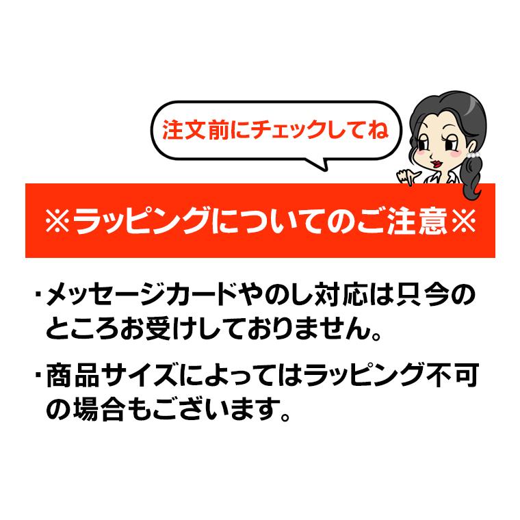 座布団収納 炭入り消臭 座布団 収納ケース 大判 座布団 収納 袋 保管 持ち手付き 不織布 収納ボックス 透明窓付き 衣替え 押し入れ クローゼット 整理 | アイメディア | 12