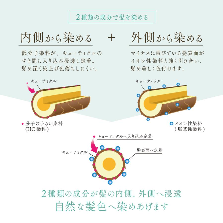 プロシア 馬油 ヘアカラー トリートメント 選べる2本組 白髪染め ブラック ダークブラウン 髪を傷めない 髪に優しい 白髪染 ジアミンフリー 洗い流す 若見え｜le-cure｜09