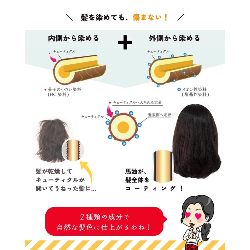 アイメディア プロシア 馬油 ヘアカラー トリートメント 白髪染め