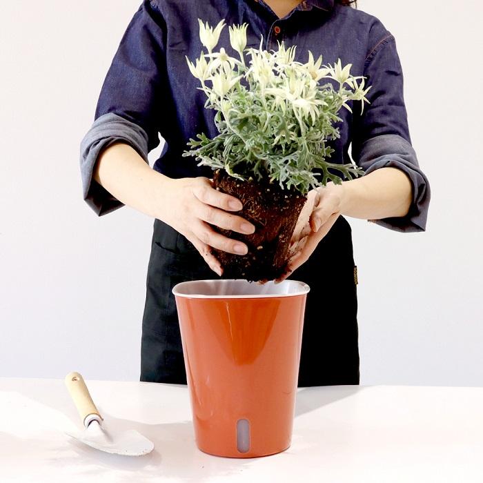 かしこい植木鉢 5号用 自動給水 水やり不要 鉢植え 水受け不要