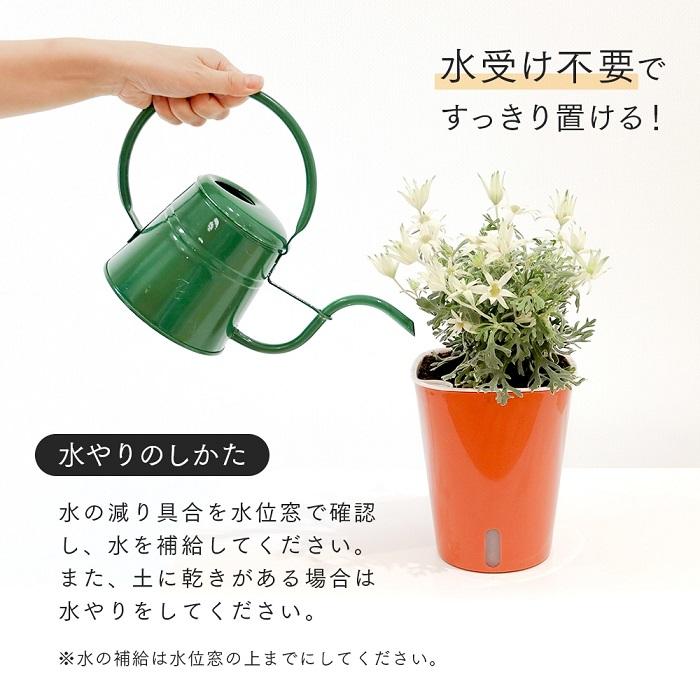 かしこい植木鉢 5号用 自動給水 水やり不要 鉢植え 水受け不要