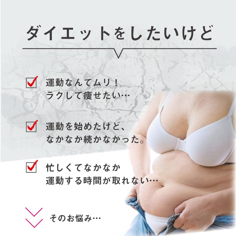 体幹筋エクサ インソール ツインボール 履くだけ ダイエット 中敷き 極薄 レディース 靴に入れるだけ 体幹トレーニング ウォーキング シューズ | ブランド登録なし | 02