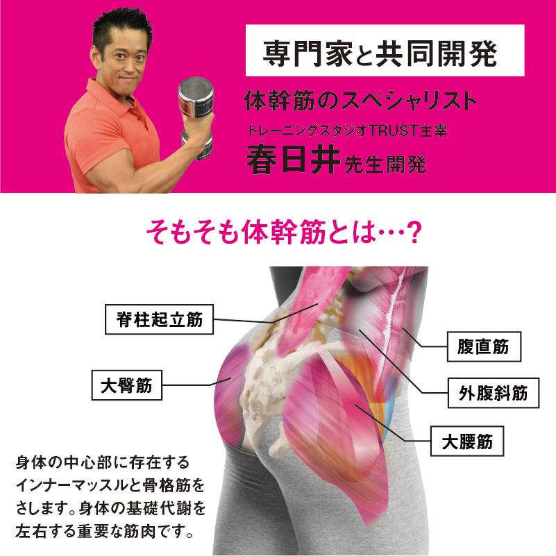体幹筋エクサ インソール ツインボール 履くだけ ダイエット 中敷き 極薄 レディース 靴に入れるだけ 体幹トレーニング ウォーキング シューズ | ブランド登録なし | 04