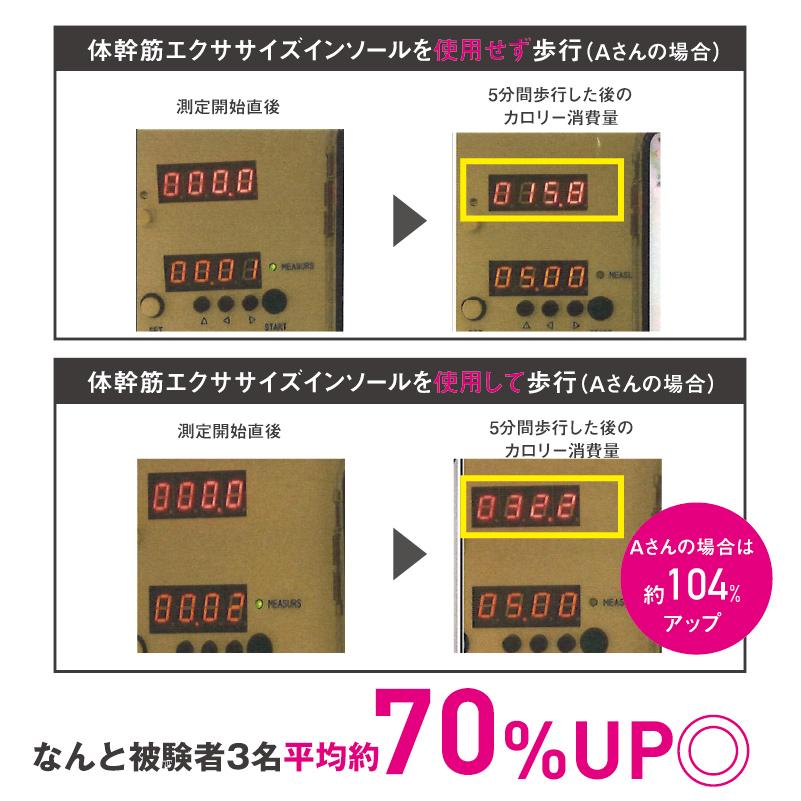 足の裏にフィットし歩きやすい／体幹筋エクサ インソール ツインボール