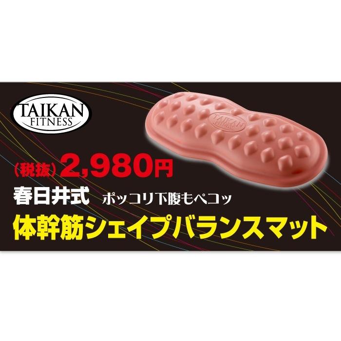 体幹筋シェイプバランスマット バランスクッション 体幹筋