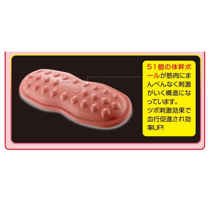 体幹筋シェイプバランスマット バランスクッション 体幹筋