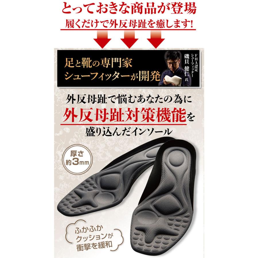 ガイハンインソール 外反母趾対策 22.0cm〜25.5cm 男女兼用 靴 中敷き