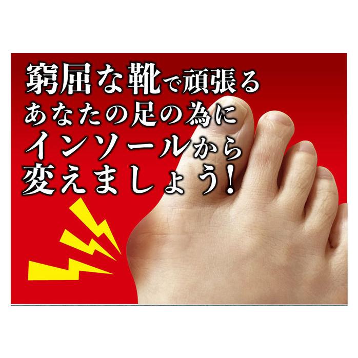 ガイハンインソール 外反母趾対策 22.0cm〜25.5cm 男女兼用 靴 中敷き インソール 中足骨 パッド レディース メンズ がいはんぼし 補正 フットケア | ブランド登録なし | 05