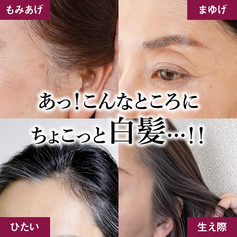 サッと塗るだけ 簡単 白髪隠し 白髪カバー 日本製 ポイント白髪染め