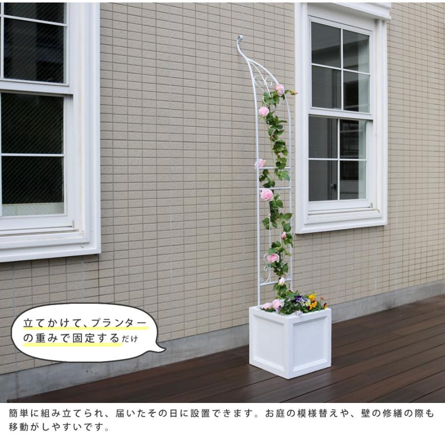 最大76 オフ ガーデンアーチ アイアンハーフアーチ シングル ガーデニング 庭 バラ 薔薇 アーチ スチール製 バラアーチ 庭園 園芸 ホワイト 白 ダークブロンズ おしゃれ Cisama Sc Gov Br