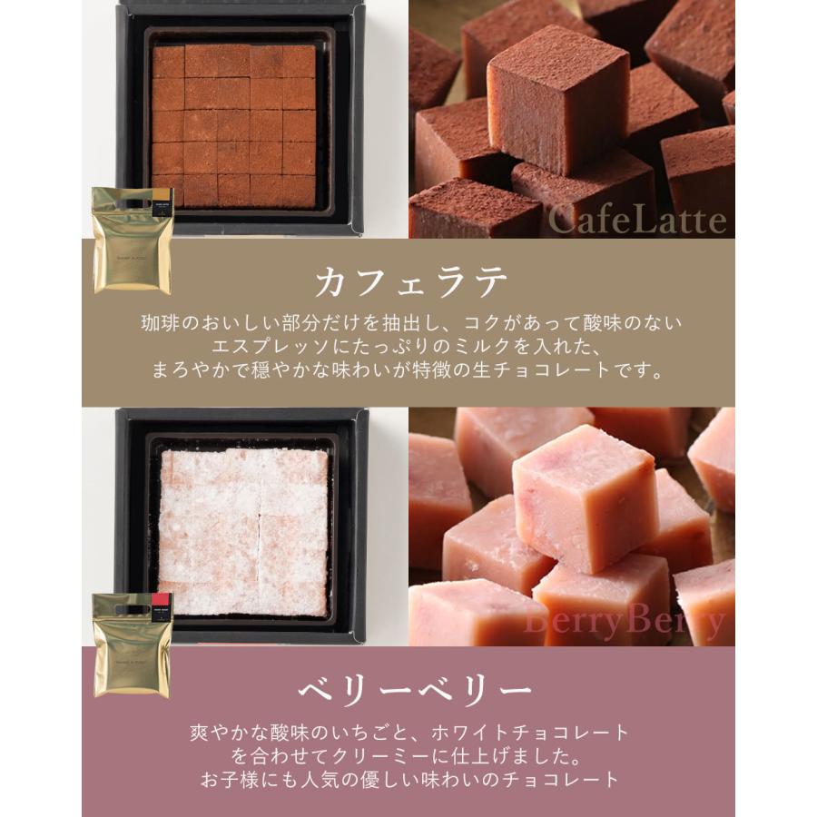 生チョコレート 詰合せ ギフト 【ルピノ―】 クリームミルクS