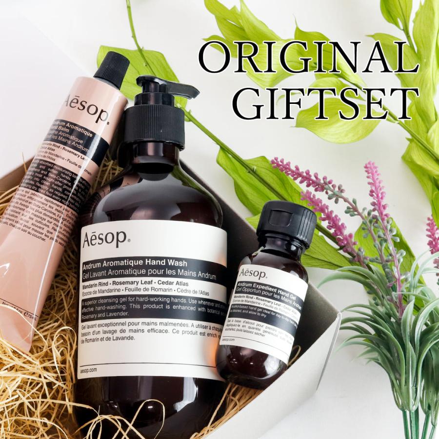 イソップ Aesop アンドラムハンドウォッシュ 500ml+アンドラムハンド