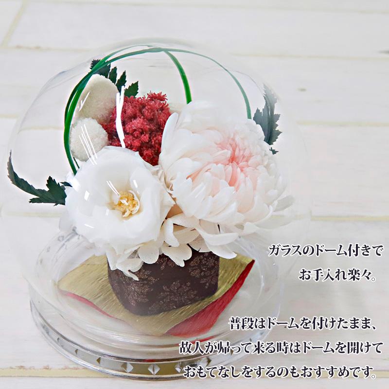 仏花 プリザーブドフラワー ガラスドーム ディスプレイ 仏壇用 仏 花 おしゃれ お花 お供え 和室 モダン Aliceflower 敬老の日 孫 おばあちゃん おじいちゃん Hana 0 バッグ 財布のプルミエール 通販 Yahoo ショッピング