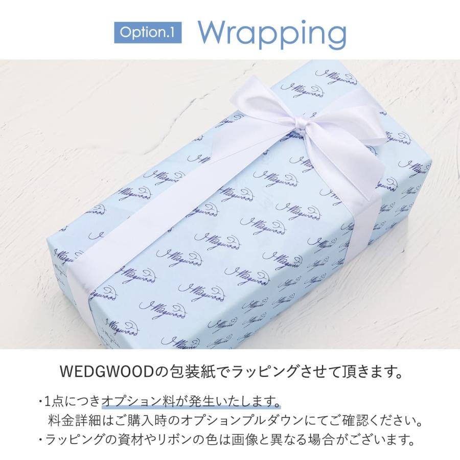 2024年限定モデル ウェッジウッド グラス 1客 WEDGWOOD グラス アニュアル タンブラー 2024 ファイア 1客 1067340 ホワイトデー お返し 可愛い｜le-premier｜08