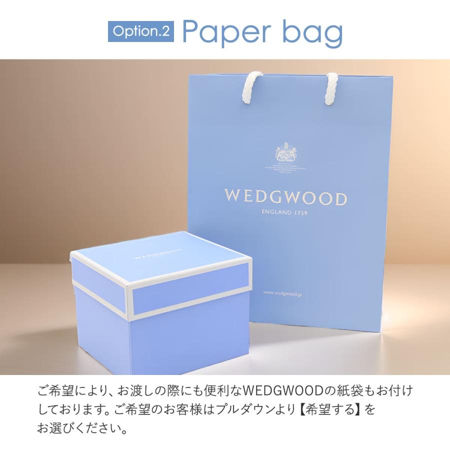 2024年限定モデル ウェッジウッド グラス 1客 WEDGWOOD グラス アニュアル タンブラー 2024 ファイア 1客 1067340 ホワイトデー お返し 可愛い｜le-premier｜09