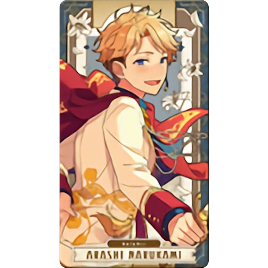 市場 エンスカイ アルカナカード専用スリーブ