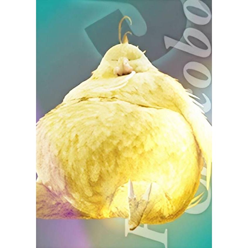 PSA10 デブチョコボ ファイナルファンタジー カードダスマスターズ FF PSA10 デブチョコボ ファイナルファンタジー カードダスマスターズ FF