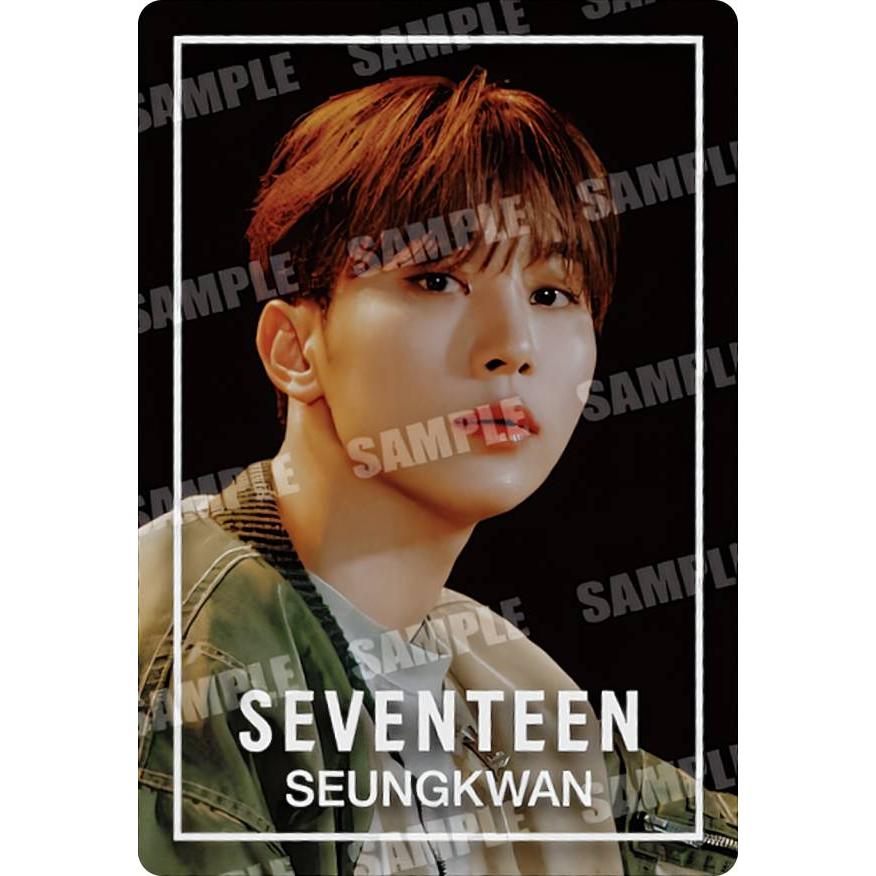 N-11.スングァン (ノーマルシール) 】 SVTウエハース From