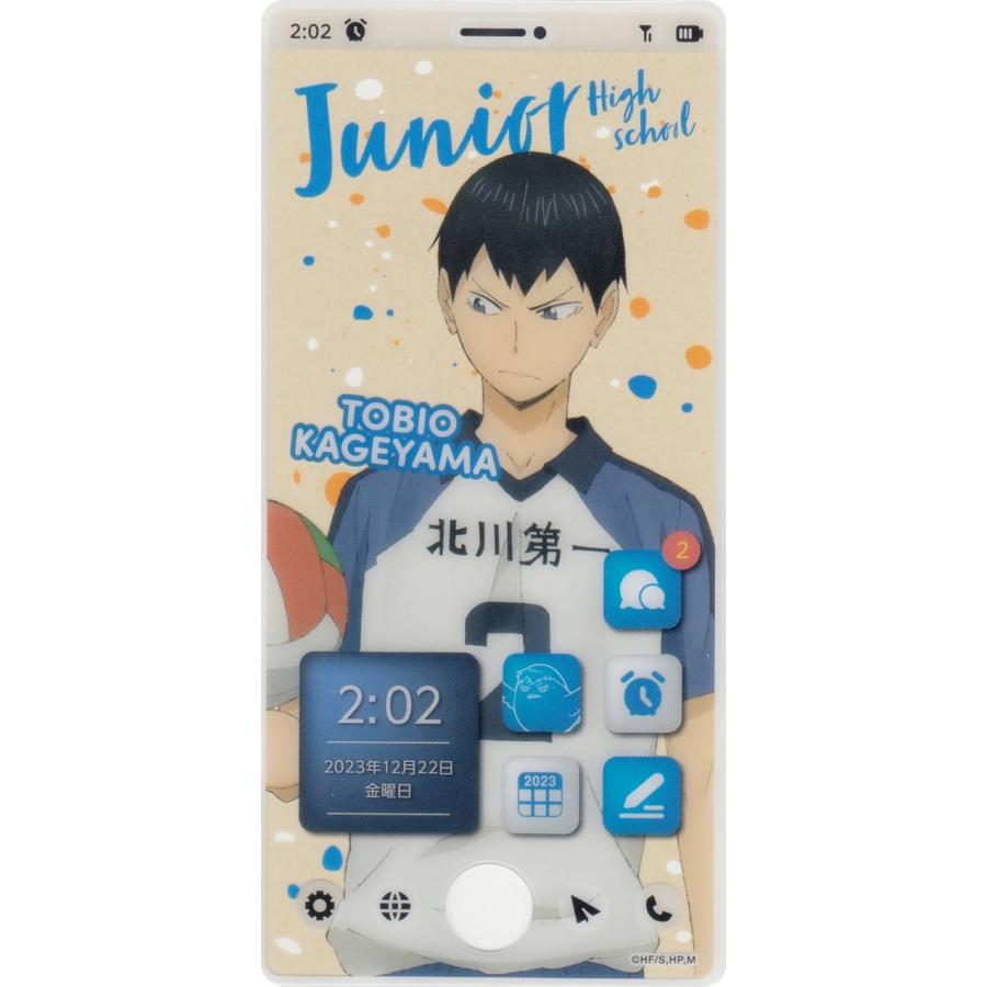 影山飛雄 (思い出/シークレット) 】 ハイキュー!! スマホライクカード