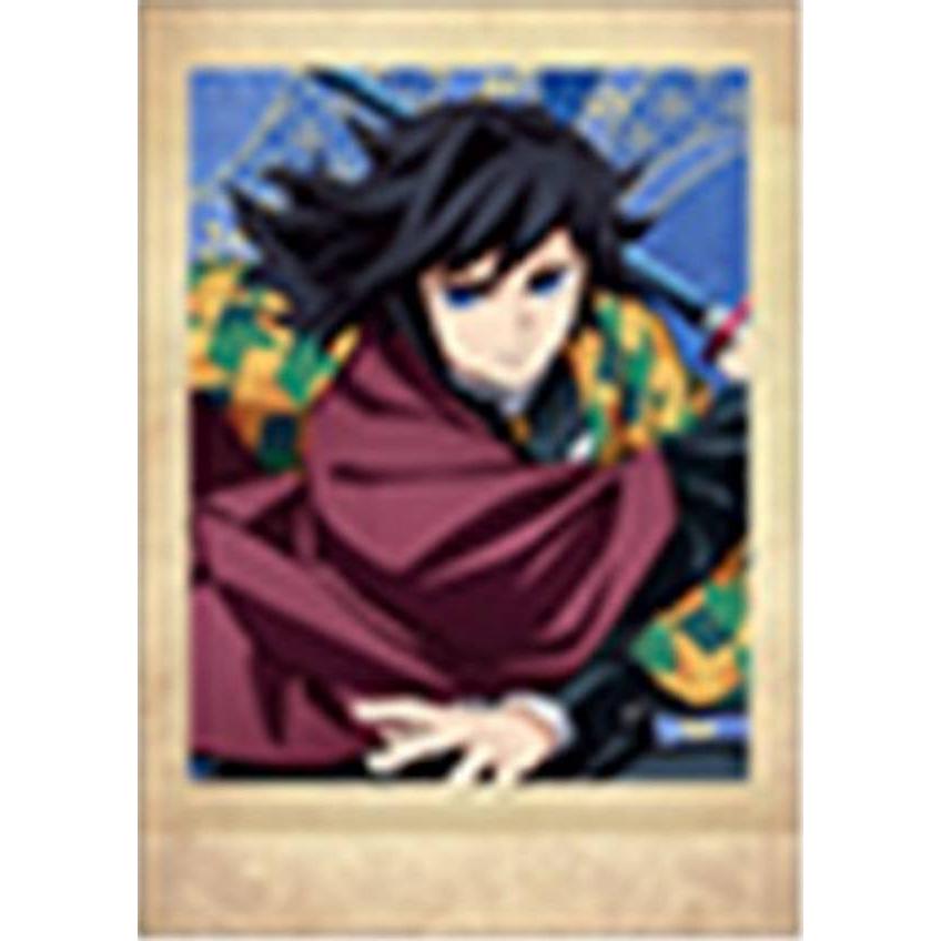 06.冨岡義勇】鬼滅の刃 ぱしゃこれ 其ノ捌 : トレカショップ LEAD
