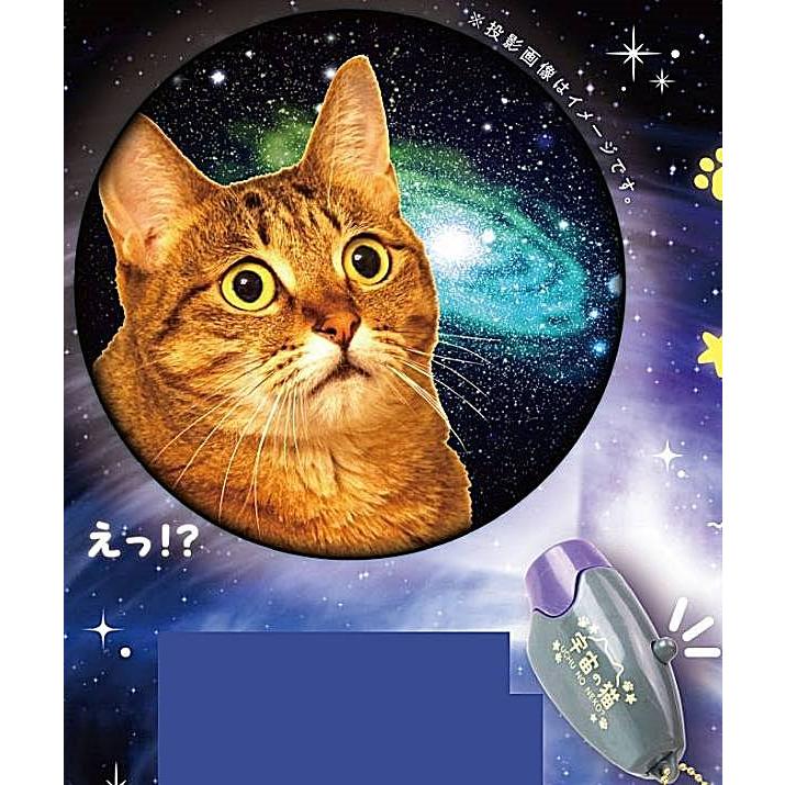えっ!?】宇宙の猫ライト : トレカショップ LEAD. - 通販 - Yahoo