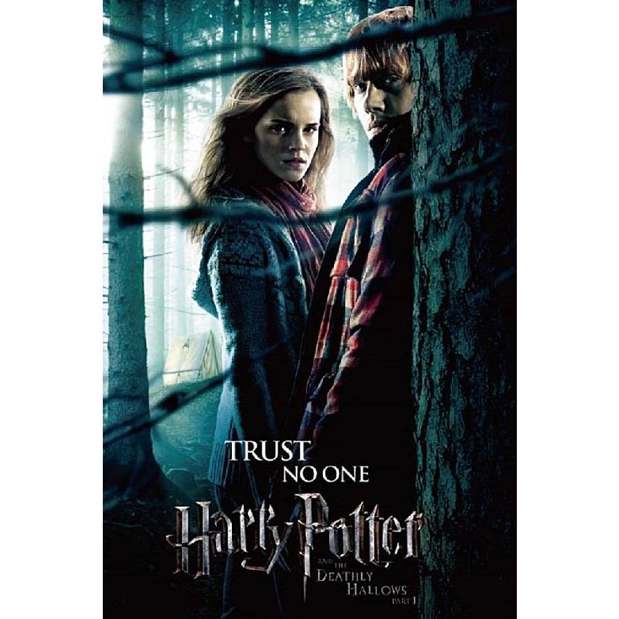 14.ハーマイオニー・グレンジャー＆ロン・ウィーズリー】ハリー