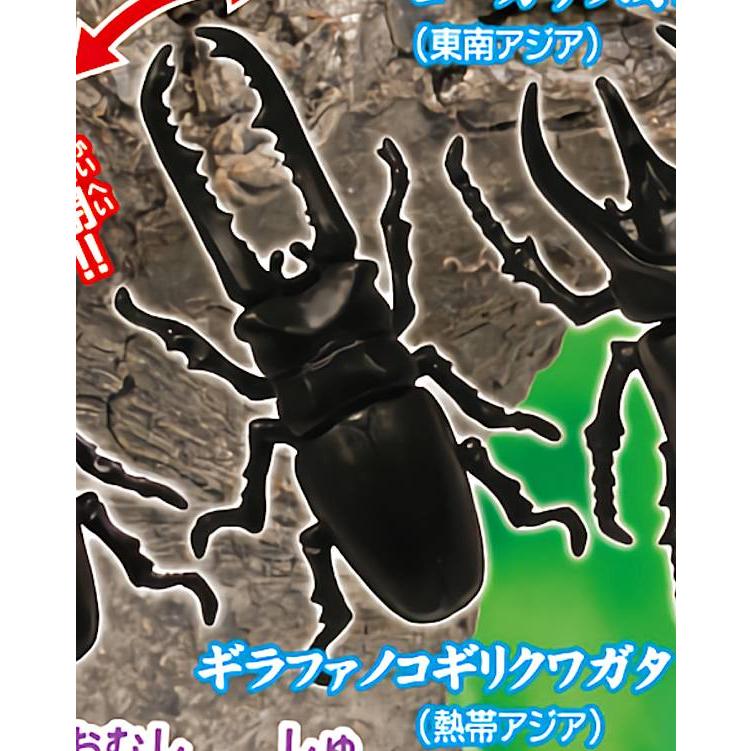 ギラファノコギリクワガタ (ギミック大虫) 】 こむしちゃんのかんづめ
