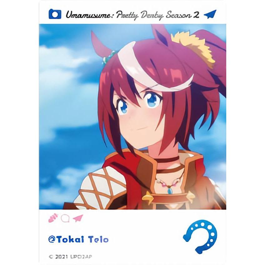 脳みそニンニク専用　ウマ娘 トウカイテイオー スリーブ ウマ娘 トウカイテイオー スリーブ - メルカリ