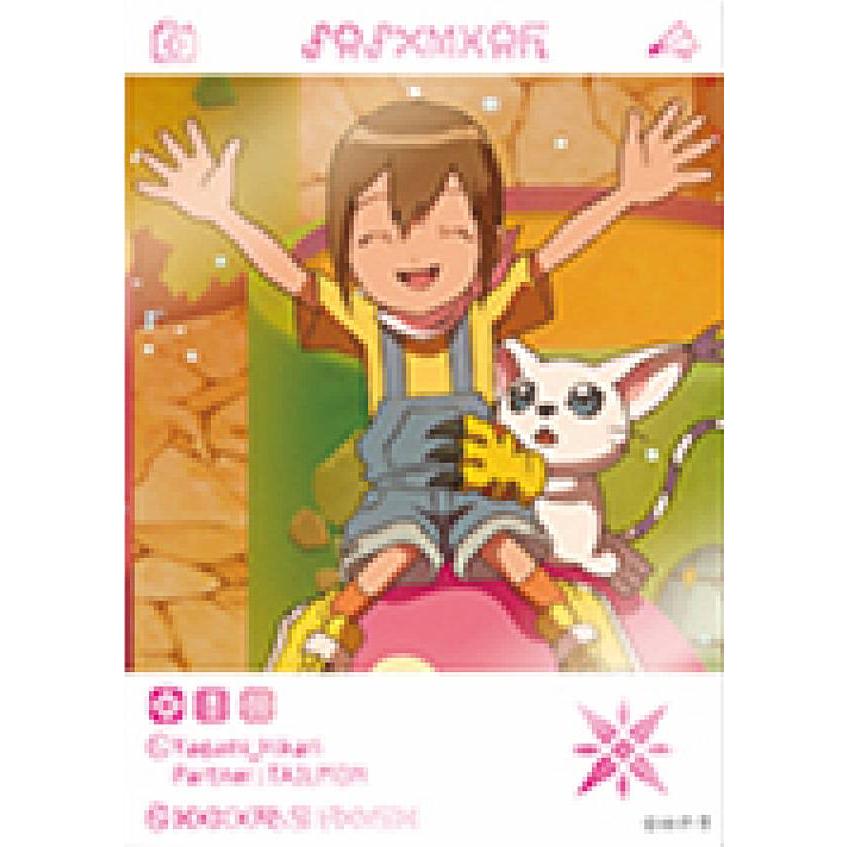 八神ヒカリ テイルモン デジモンアドベンチャー Emoca s71dget16 トレカショップ Lead 通販 Yahoo ショッピング