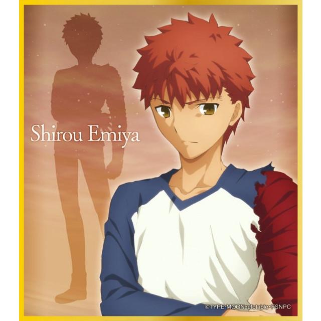 劇場版Fate/stay night ブロマイド 特典非売品 衛宮士郎 エミヤ 劇場版Fate/stay night ブロマイド 特典非売品 衛宮士郎 エミヤ