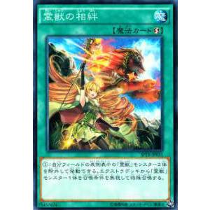 遊戯王 Sptr Jp031 霊獣の相絆 ブースターsp トライブ フォース mu47 トレカショップ Lead 通販 Yahoo ショッピング