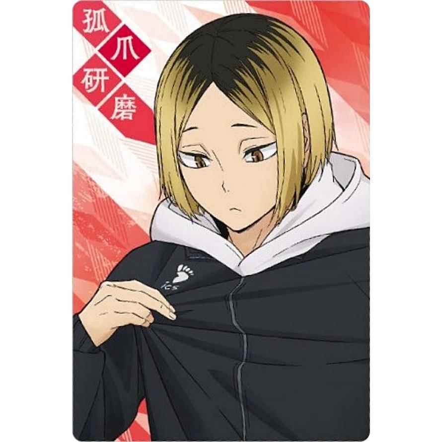 ハイキュー!! ぱしゃこれ PREMIUM 孤爪研磨19枚 ホログラム仕様] No.22