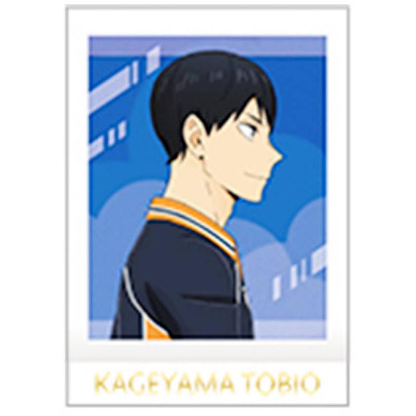 03 影山飛雄】ハイキュー!! ぱしゃこれ PREMIUM Vol.2 : トレカ
